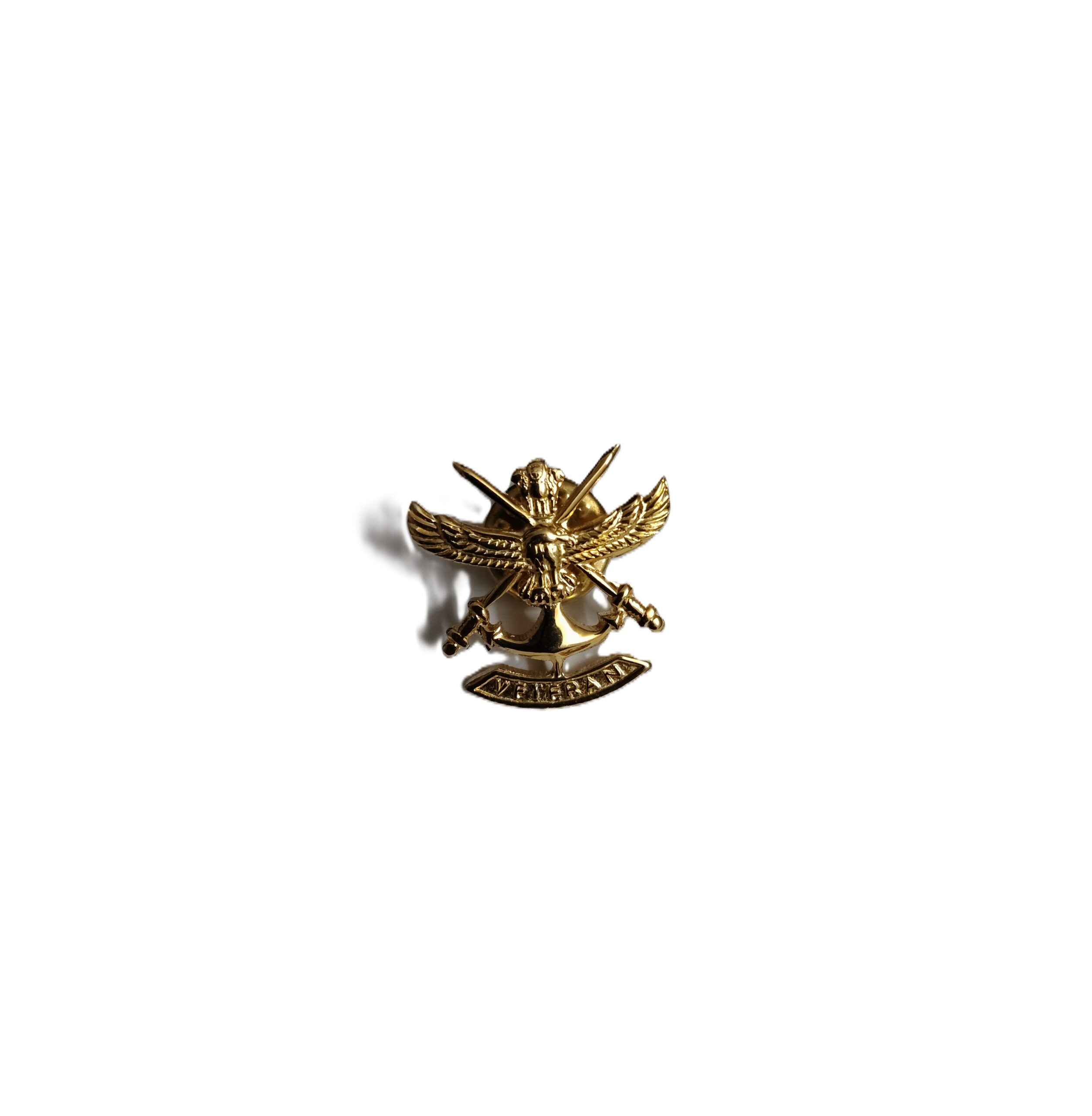 Tri-Services Veteran Lapel Pin